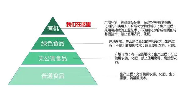 金寨土特产